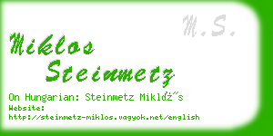 miklos steinmetz business card